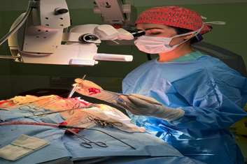 انجام موفقیت‌آمیز نخستین عمل جراحی خروج تومور مغزی در بیمارستان شهیدسردارسلیمانی